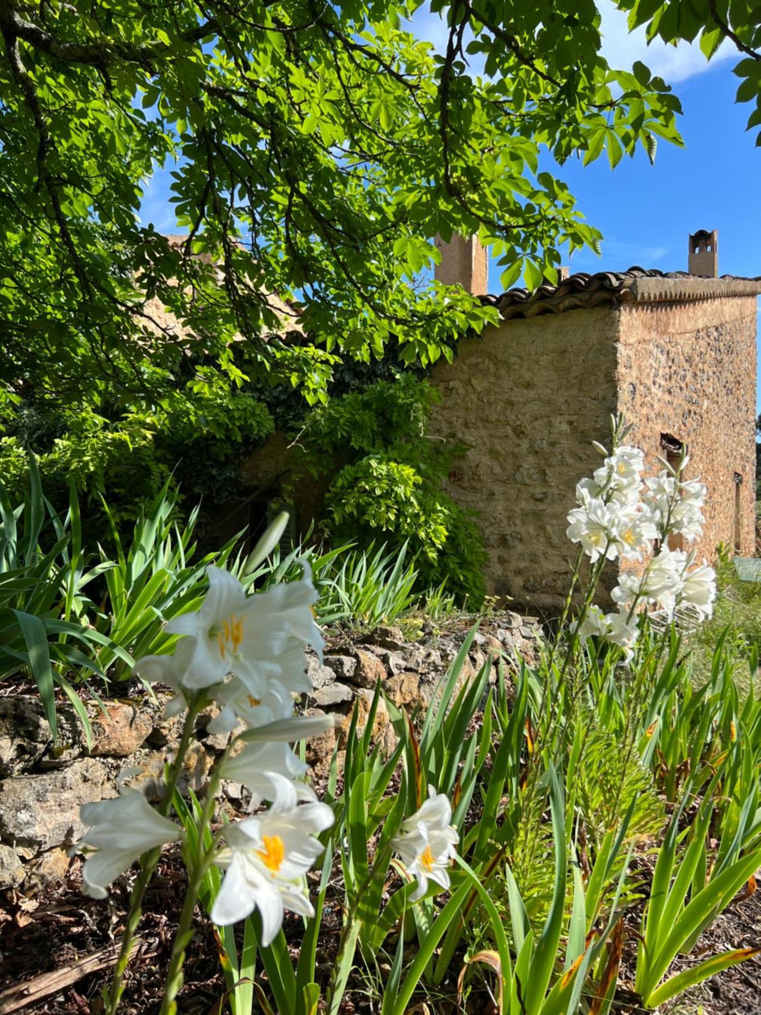 La Cabane De Babarot Aups Extérieur photo